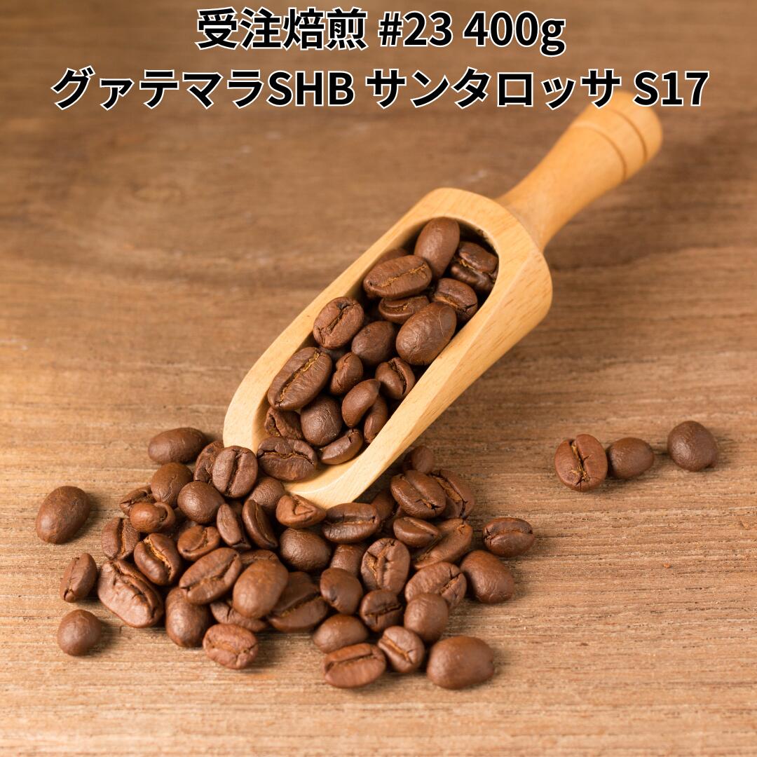 【DRIP TRIP】グァテマラSHB サンタロッサS17 コーヒー豆 受注焙煎 選べる焙煎度合い 送料無料 珈琲 珈琲豆 コーヒー スペシャルティコーヒー 粉 400g 800g 1kg 2kg