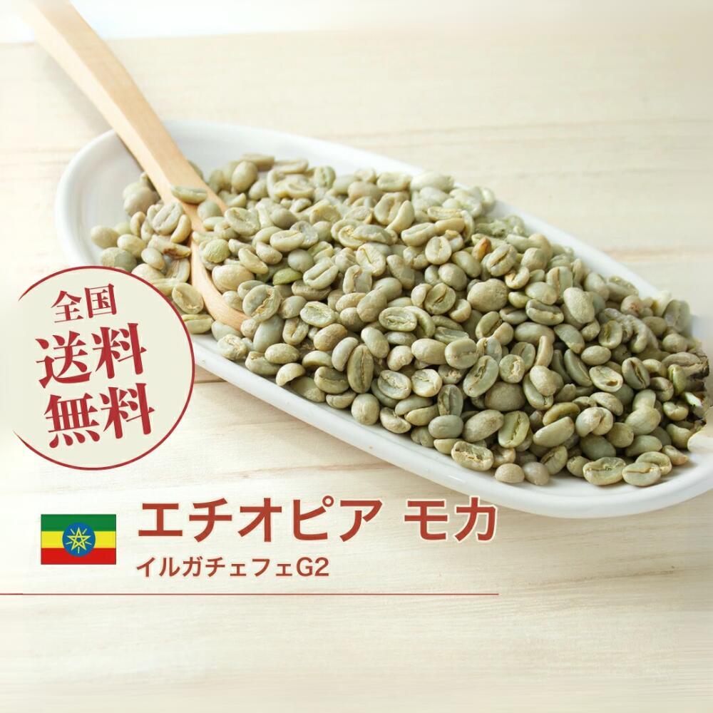 【DRIP TRIP】生豆 モカ イルガチャフェ G2 エチオピア 珈琲 コーヒー スペシャルティコーヒー 送料無料 1kg 2kg 5kg 10kg