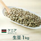 コーヒー生豆 1kg ケニア AA Qグレード 送料無料 大山珈琲