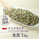 コーヒー生豆 1kg トラジャ ランテカルア(有機JAS栽培) [22年クロップ]インドネシア 送料無料 大山珈琲