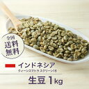 コーヒー生豆 1kg クィーンスマトラ スクリーン18 インドネシア ニュークロップ 送料無料 大山珈琲