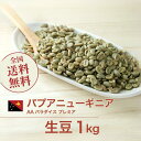 コーヒー生豆 1kg パプアニューギニア AA パラダイス プレミア オーガニック 無農薬 送料無料 大山珈琲