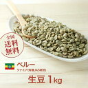 コーヒー生豆 1kg ペルー クナミア(有機JAS栽培) ニュークロップ 送料無料 大山珈琲