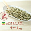 コーヒー生豆 1kg モカ イルガチャフェ G1 コチャレ ウォシュド エチオピア 送料無料 大山珈琲
