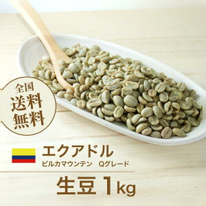 コーヒー生豆 1kg エクアドル ビルカマウンテン Qグレード 送料無料 大山珈琲