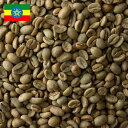 コーヒー生豆 200g モカ シダモG4 エチオピア 送料250円で800gまで組み合わせ自由 大山珈琲