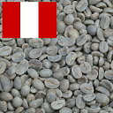 コーヒー生豆 200g ペルー マチュピチュ Qグレード ニュークロップ 送料250円で800gまで組み合わせ自由 大山珈琲