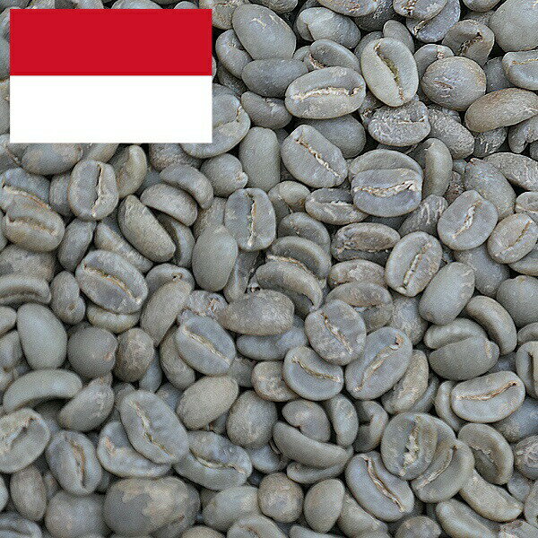 コーヒー生豆 5kg トラジャ ランテカルア(有機JAS栽培) インドネシア 送料無料 大山珈琲