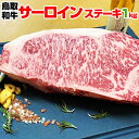 【送料無料】 鳥取和牛 サーロインステーキ ブロック 1kg 塊肉 ステーキ 厚切り かたまり肉 赤身 A5 A4 等級 ギフト お歳暮 黒毛和牛 国産 牛肉 モモ肉 ステーキ BBQ バーベキュー アウトドア …