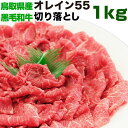 ★送料無料 オレイン55 鳥取和牛 切落し 1kg（冷凍）切り落とし お肉 肉 