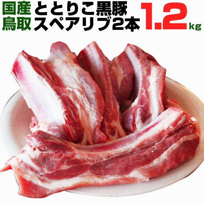 ★豚肉 スペアリブ 2本入り 1.2kg以上 ととりこ 黒豚 BBQ 焼肉 バーベキュー アウトドア キャンプ 豚肉 ぶた肉 豚 国産 送料無料 当店が誇るブランド黒豚銘柄です！