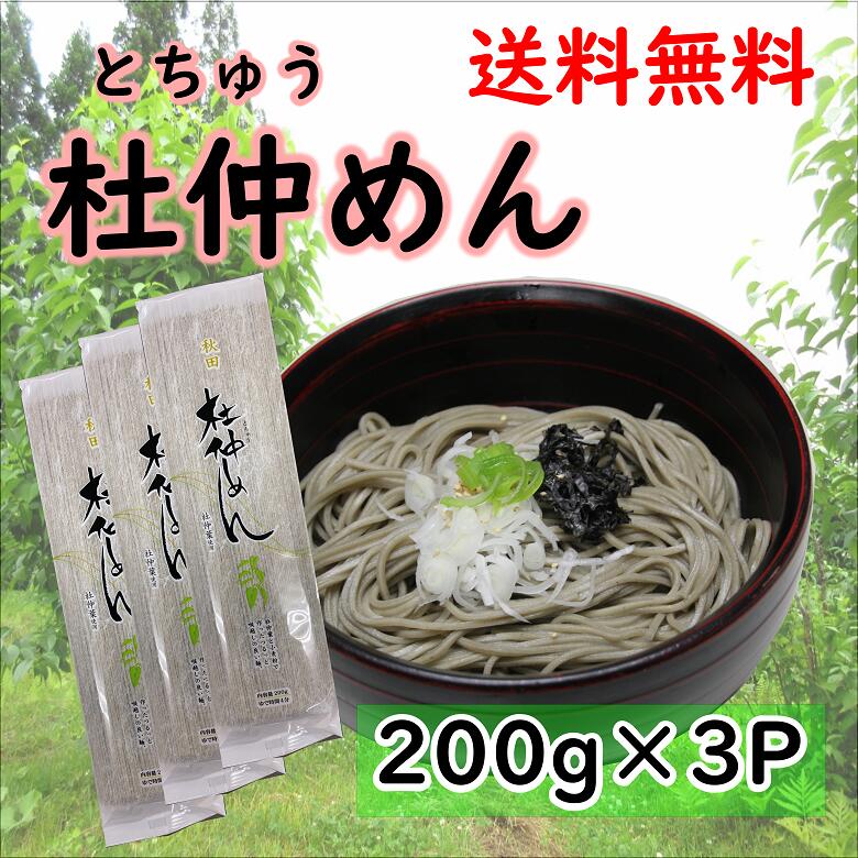 【送料無料】杜仲めん 200g×3パック 杜仲茶 杜仲 杜仲茶練りこみ麺 乾麺 ご自宅用に メール便発送 秋田【同梱不可】【代引不可】【贈答不可】【日付指定不可】