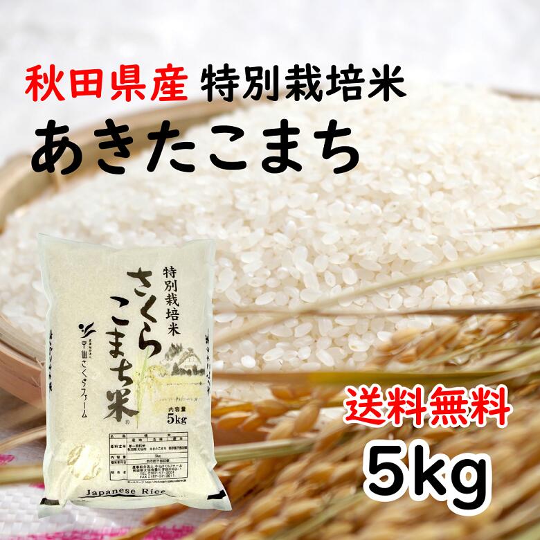 【令和元年度産】【送料無料】あきたこまち/特別栽培米さくらこまち米/精米/5kg/減農薬・減化学肥料/特別栽培米/おにぎりに最適