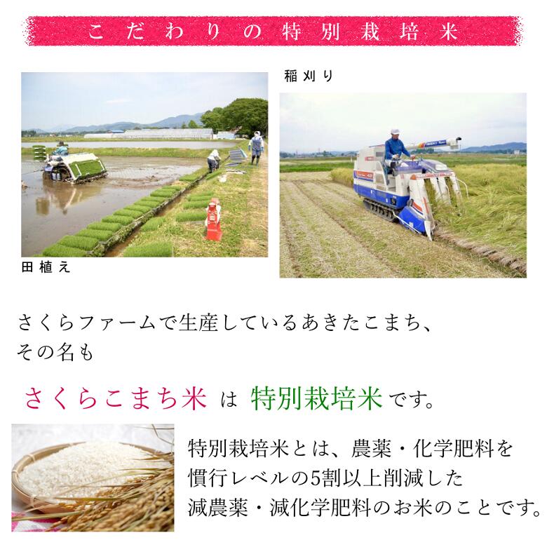 【令和元年度産】【送料無料】あきたこまち/特別栽培米さくらこまち米/精米/5kg/減農薬・減化学肥料/特別栽培米/おにぎりに最適
