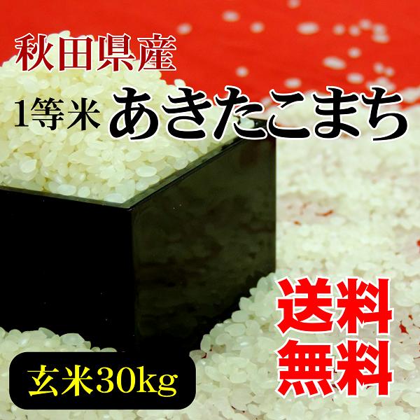 送料無料】秋田県産1等米あきたこまち/玄米30kg/食べる分だけその都度