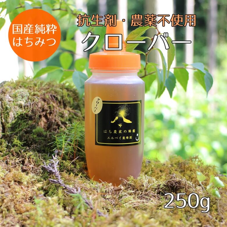 国産純粋はちみつ クローバー250g お中元 お歳暮 ギフト 蜂蜜 ハチミツ