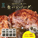 【5/1限定MAX50%OFFクーポン配布】ハンバーグ 母の日 ギフト 120g 12個入り 父の日 お祝い おかず 便利 美味しい 肉 鳥取 お取り寄せ 生ハンバーグ 食品 ラッピング メッセージカード 熨斗 贈…