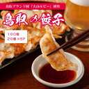 餃子 20個入×5P 100個 冷凍 大量 小分け トレー 鳥取 国産 お取り寄せ ぎょうざ 豚肉 肉の日 鳥取 ギョーザ 大山ルビー お土産 冷凍食品 肉 仕...