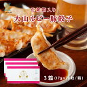 餃子 20個入×3箱 お歳暮 ギフト ぎょうざ 冷凍 プレゼント 箱入り おしゃれ 豚肉 鳥取 お取り寄せ お土産 贈り物 挨拶 お祝い 内祝い 誕生日 お礼の...