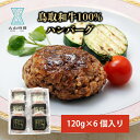 【肉の日クーポン配布中】ハンバーグ ギフト 黒毛和牛 鳥取和牛 100% 6個セット お祝い 春 メッセージカード お返し食品 母の日 父の日 和牛 冷凍 おかず 肉 お取り寄せ 内祝い 贈り物 誕生日 プレゼント ご褒美 贅沢 美味しい 送料無料 鳥取 お返し 牛肉 グルメ