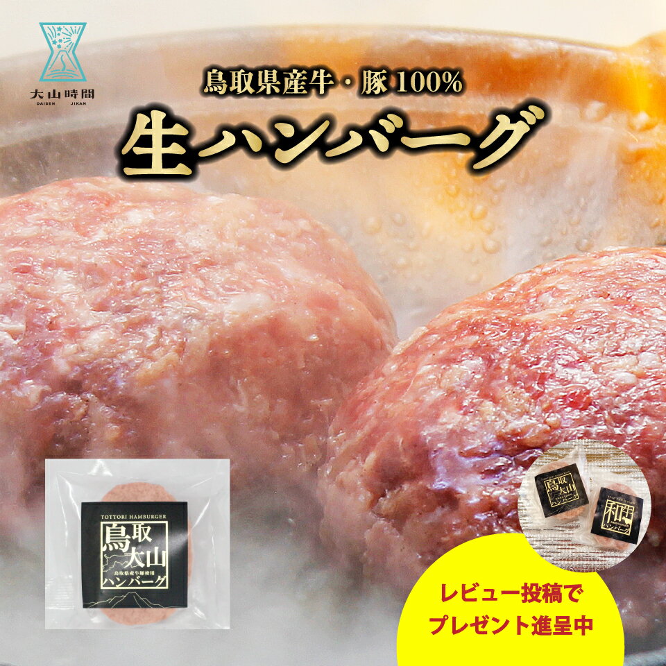 ハンバーグ 120g 単品1個 お試し 鳥取大山 生ハンバーグ 食品 贈り物 挨拶 お祝い 仕送り 内祝い 誕生日 お礼 お取り寄せ ご褒美 惣菜 冷凍 食べ物 ハンバーグ 牛肉 豚肉 お土産 鳥取県 送料無…