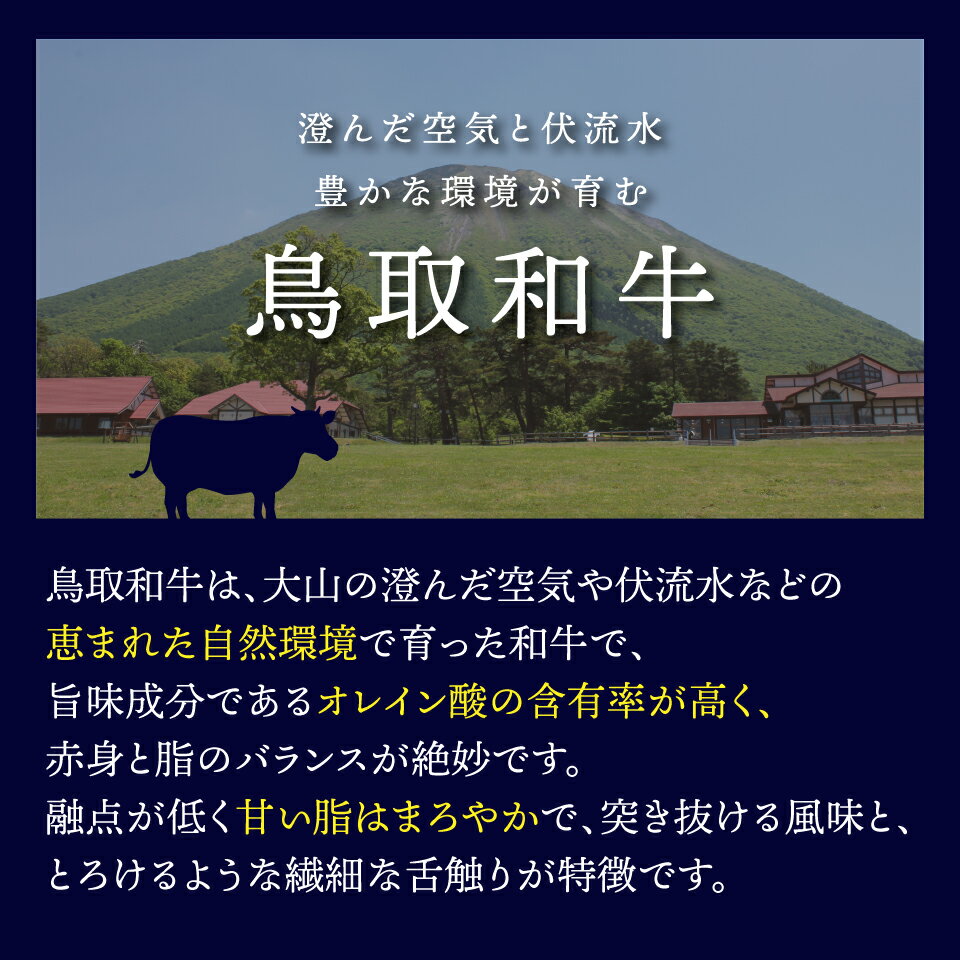 ハンバーグ ギフト お歳暮 冷凍 黒毛和牛 鳥取和牛 100% 12個セット お祝い 春 メッセージカード お返し食品 母の日 父の日 和牛 おかず 肉 お取り寄せ 内祝い 贈り物 誕生日 プレゼント ご褒美 贅沢 美味しい 送料無料 鳥取