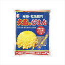【東商】大菊のじまん(2kg)/1個 【M】