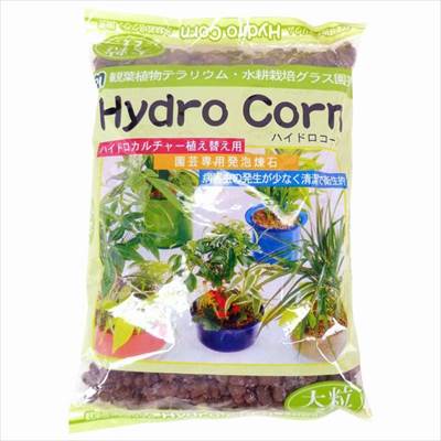 ハイドロボールの上手な使い方 水やり 肥料 おすすめの植物など解説 農業 ガーデニング 園芸 家庭菜園マガジン Agri Pick