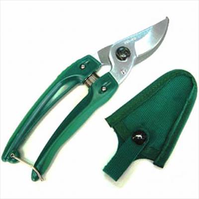 �ڥ��륹�����ݥ졼������G���饷�å� �����ǥ˥���(GC-130) �������������꡼��/1�� ��M��