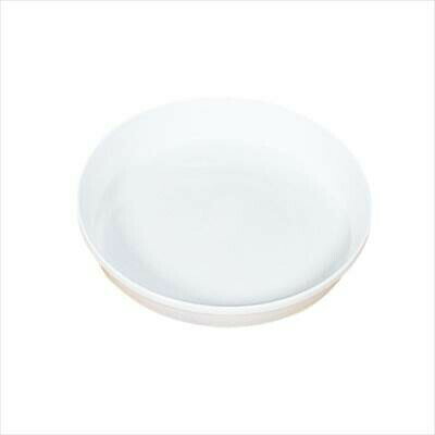 【リッチェル】浅皿(5号) 色：W/1個 【M】