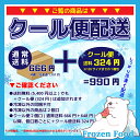 観賞魚用飼料 冷凍ディスカスハンバーグ DICS YELLOW 黄色用 100g×10枚＜クール便配送＞ 熱帯魚 ルテイン配合 ベンリーパック 4529026502085【ベンリー】