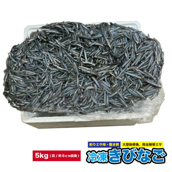 cold_kibinago5kg.jpg cold_kibinago5kg.jpg