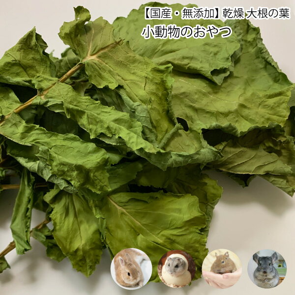 小動物のおやつ　国産　無添加　乾燥 大根の葉　5g　乾燥野菜　だいこん 葉　無着色　ドライベジタブル 小動物 うさぎ ハムスター メール便送料無料【DBP】