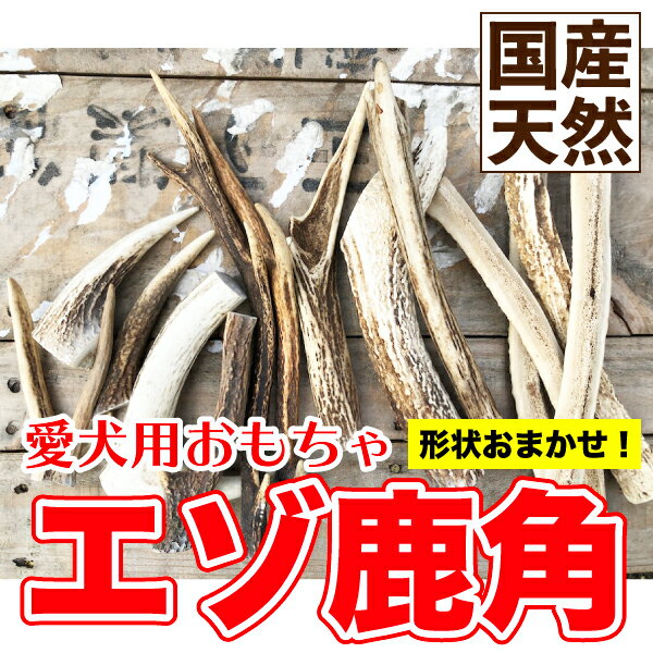 メール便送料無料 犬【形状おまかせ】国産 天然 鹿角(エゾ鹿) 1本 サイズ：L(約20cm〜25cm) 鹿の角 犬 鹿【DBP】