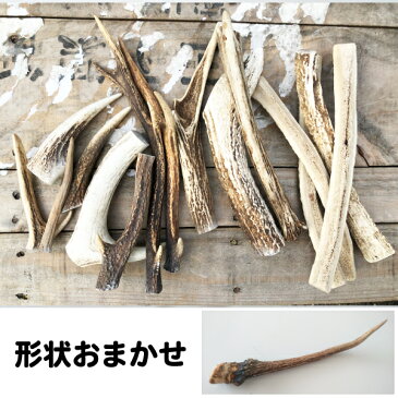 犬【形状おまかせ】国産 天然 鹿角(エゾ鹿) 1本 サイズ:S (約10cm〜15cm) 鹿の角 犬 鹿 おもちゃ【DBP】