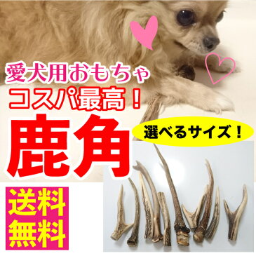 <メール便 送料無料>【形状おまかせ】国産 天然 鹿の角 犬(丹波鹿) 1本 サイズ:L (約20cm〜25cm) 鹿のつの 犬 鹿角 シカ つの おもちゃ おやつ デンタルケア P4倍【DBP】