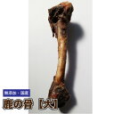 【形状おまかせ】国産 無添加 乾燥 鹿の骨【大サイズ/1本】 鹿骨 犬 シカ 骨 しか 骨 小型〜大型犬 おやつ ハスキー レトリバー【DBP】