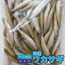 【5袋セット】冷凍餌 冷凍ワカサギ 【約2.5kg(約500g×5P)】 約8cm前後 わかさぎ 大型魚のエサ ※別途クール便送料【クール便配送】爬虫類 両生類【DBP】