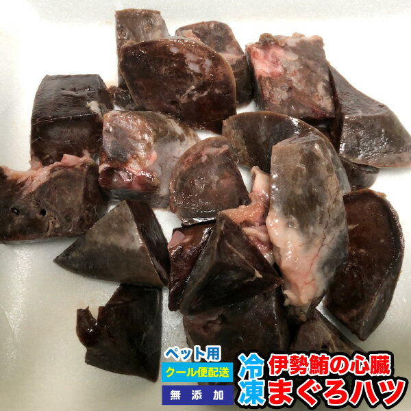 国産　冷凍 まぐろハツ 心臓　2.5kg(約500g×5p)　伊勢　鮪　アロワナ ポリプテルス　スネークヘッド シクリッド【クール便配送】 ※別途クール便送料【DBP】