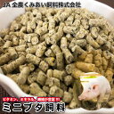 ミニブタ飼料 20kg 【再利用米袋使用】 ミニブタ ペレット マイクロブタ ビタミン ミネラル 繊維が豊富 ミニブタ フード 飼料 ペレット 送料無料【DBP】