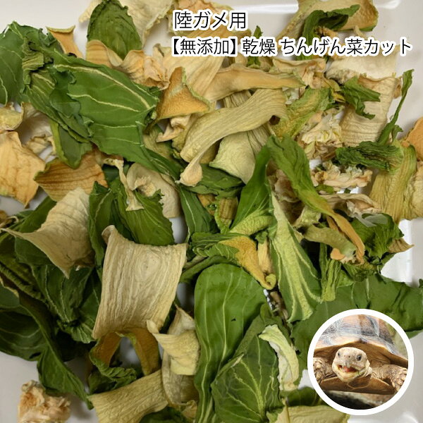 陸ガメ用 国産 無添加 乾燥 ちんげん菜カット 15g 陸カメ 野菜　陸ガメのエサ チンゲン菜 カット 青梗菜 メール便送料無料【DBP】
