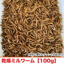 乾燥ミルワーム 【100g】 ミルワーム 嗜好性の高い高たんぱくフード ハムスター フクロモモンガ ハリネズミ リス 爬虫類 観賞魚 アロワナ等 野鳥 メール便...