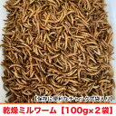 乾燥ミルワーム　【100g×2袋】　ミ