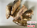 【50g】 国産 無添加おやつ フリーズドライ あなご頭 穴子の頭 穴子 アナゴ メール便送料無料 【DBP】