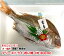 【犬・猫用】1匹(約30cm、約150g) 国産 無添加おやつ フリーズドライ まるごと 祝い鯛 (塩不使用) 岩手県大船渡の真鯛 受注生産 送料無料 【DBP】 2,498円