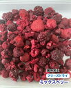 犬 小動物 ペット用 無添加 フリーズドライ ミックスベリー【50g】国内加工 いちご ブラックベリー ラズベリー サワーチェリー メール便送料無料【DBP】(4)