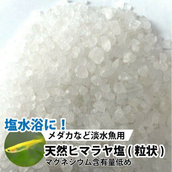 メダカ　金魚　淡水魚用　 天然ヒマラヤ塩(粒状 3-5mm)　【1kg(500g×2通)】※計量スプーン付　 ヒマラヤソルト　塩水浴 観賞魚 メール便送料無料【DBP】