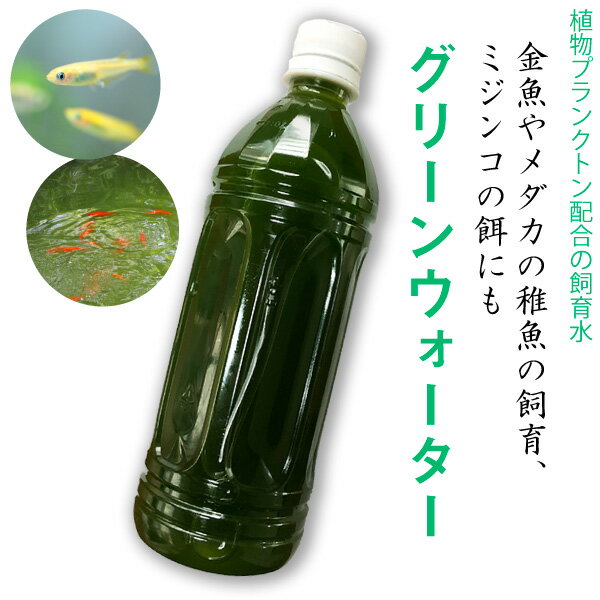 グリーンウォーター 500ml　植物プランクトンを入れた飼育水  メダカ 金魚 稚魚飼育 ミジンコの餌　水質　淡水用 送料無料