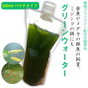 【2本セット】グリーンウォーター【パウチタイプ】 1L(500ml×2p)　植物プランクトンを入れた飼育水 メダカ 稚魚 ミジンコの餌　淡水用 メール便送料無料【DBA】