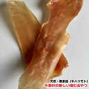 【500g】 犬 噛むおやつ 天然・無添加 牛素材の新しい噛むおやつ (牛ハツモト使用) 牛アキレスよりパリっと噛める 送料無料【DBP】
